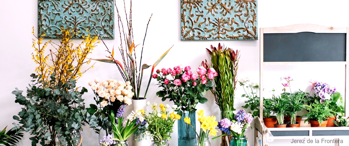 Las 16 mejores floristerías de Jerez de la Frontera