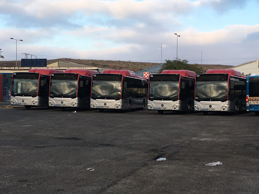 Autobuses Urbanos de Jerez de la Frontera