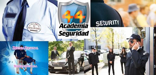 Academia Seguridad 44