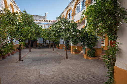 Colegio La Salle San José