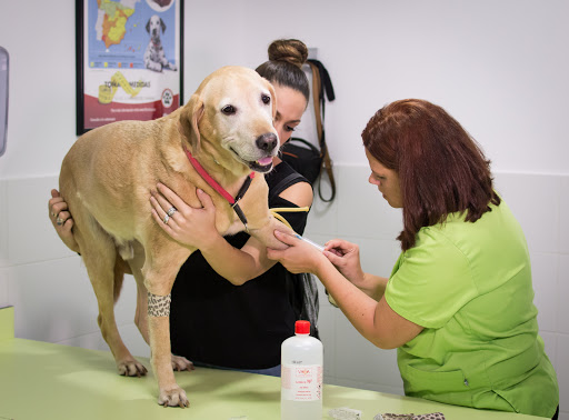 Clínica Veterinaria Ronda Este