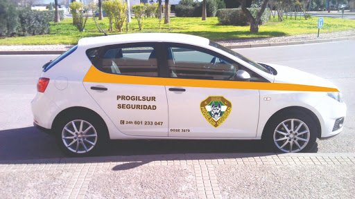 Progilsur Seguridad S.L.